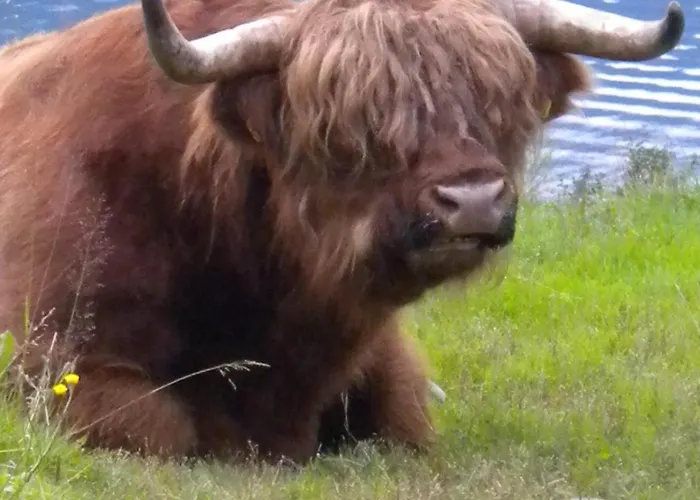 Fjordhytte-6 Direkt Am Maurangerfjord, Einem Seitenarm Des Hardangerfjords * Sundal