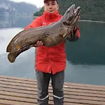 Fjordhytte-6 Direkt Am Maurangerfjord, Einem Seitenarm Des Hardangerfjords * Sundal