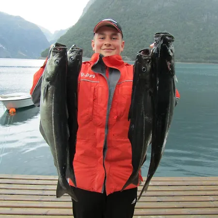 Fjordhytte-6 Direkt Am Maurangerfjord, Einem Seitenarm Des Hardangerfjords
